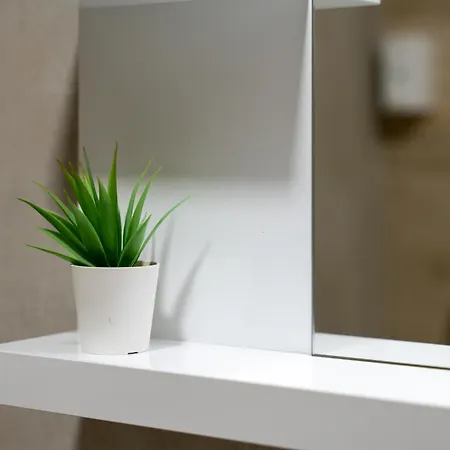 Apartment Hajducica 7